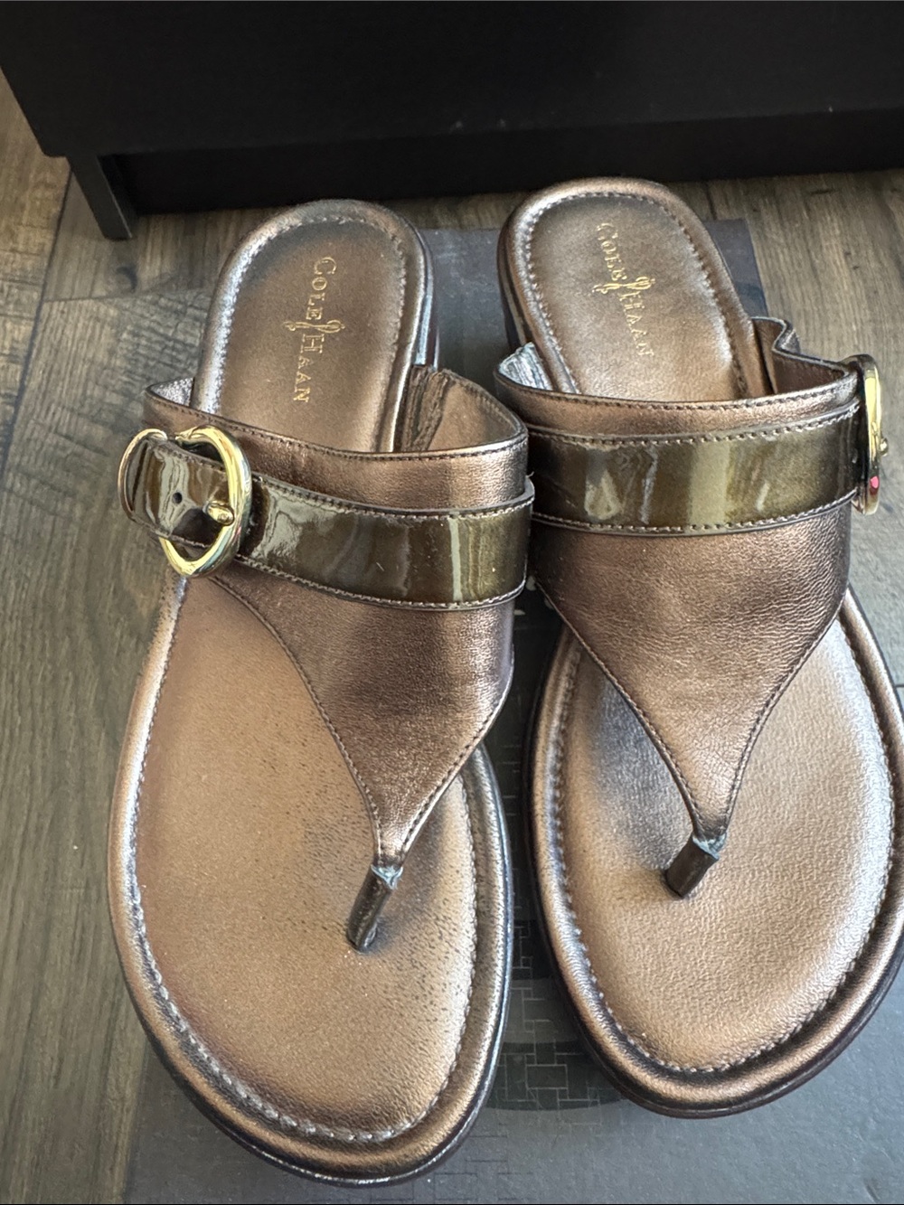 Cole Haan Bronze Metallic Thong Sandals with Gold Buckle